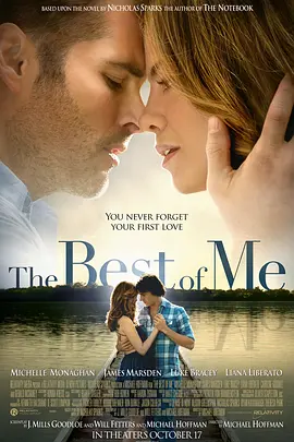最好的我 The Best of Me (2014)