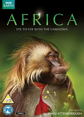 非洲 Africa (2013)