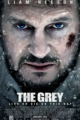 人狼大战 The Grey (2011)