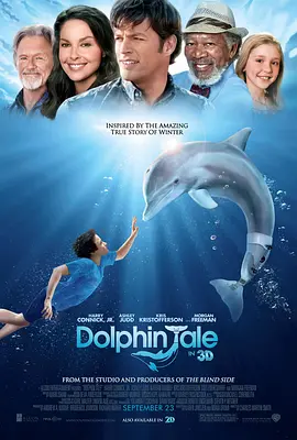 海豚的故事 (2011)