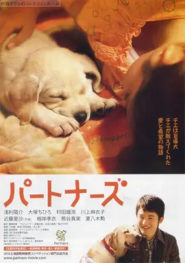 陪伴 (2010)