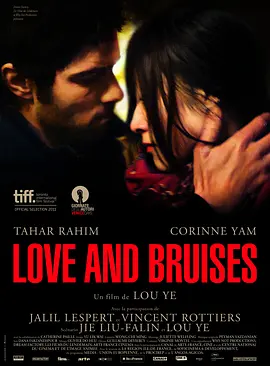 花 Love and Bruises (2011)