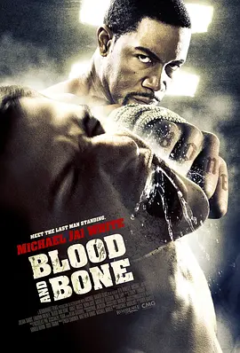 血与骨 (2009)
